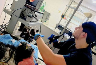 Endoscopia respiratória para diagnóstico de problemas pulmonares em pets