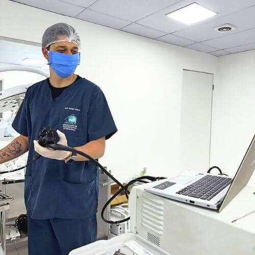 "Dr. Rafael Viana realizando exame de gastroenterologia em pet durante consulta veterinária em Belo Horizonte.