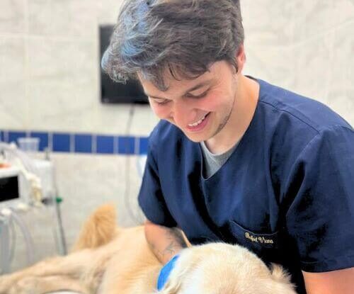 Perguntas frequentes sobre endoscopia veterinária em Belo Horizonte
